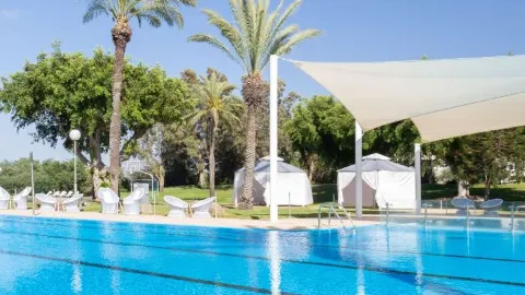 🌟✈️ Caesarea's Cozy Corners: Top Hotel Picks 🏨🌿 — traveler post in Caesarea