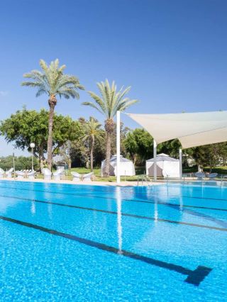 🌟✈️ Caesarea's Cozy Corners: Top Hotel Picks 🏨🌿