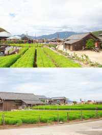穿越回昭和，來日本的“橫店”拍大片