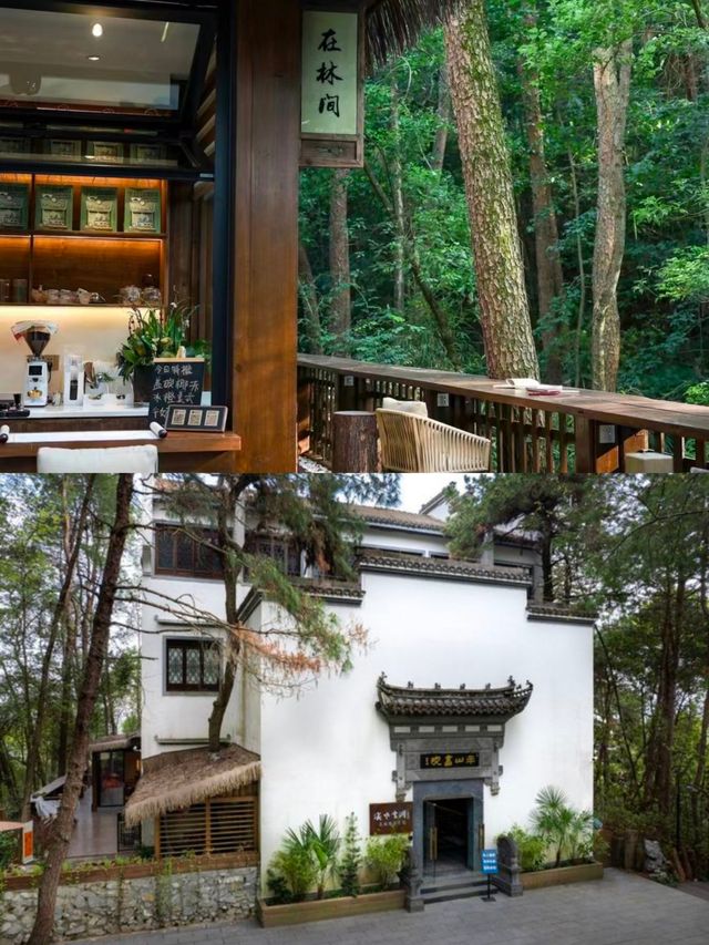 信我!!來黃山不住這家民宿真的會後悔的