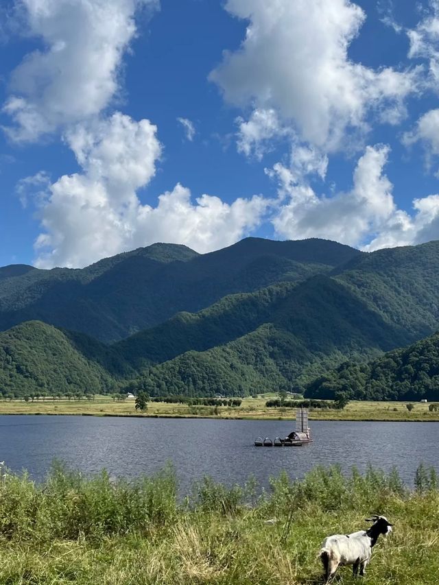 8月初的神農架，很美很涼爽，但是來前請三思