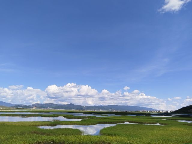 納帕海的美