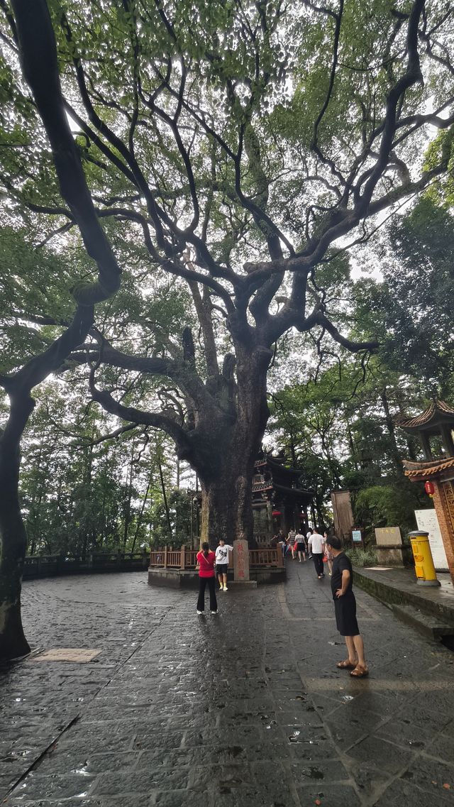 安溪清水岩——福建泉州的自然與歷史的交響樂章