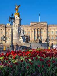 Buckingham Palace  must visit scenic spot in Britain 🇬🇧 