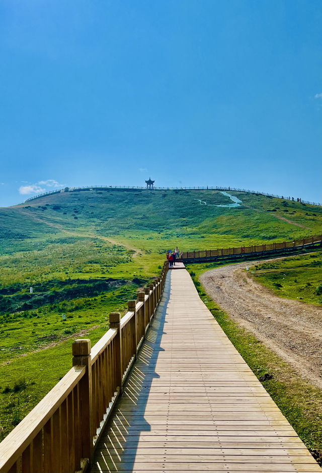 登上烏鞘嶺，站在三大高原交匯點，值得打卡