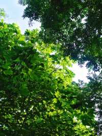 鄭州這個新開放的濕地公園簡直贏麻了。