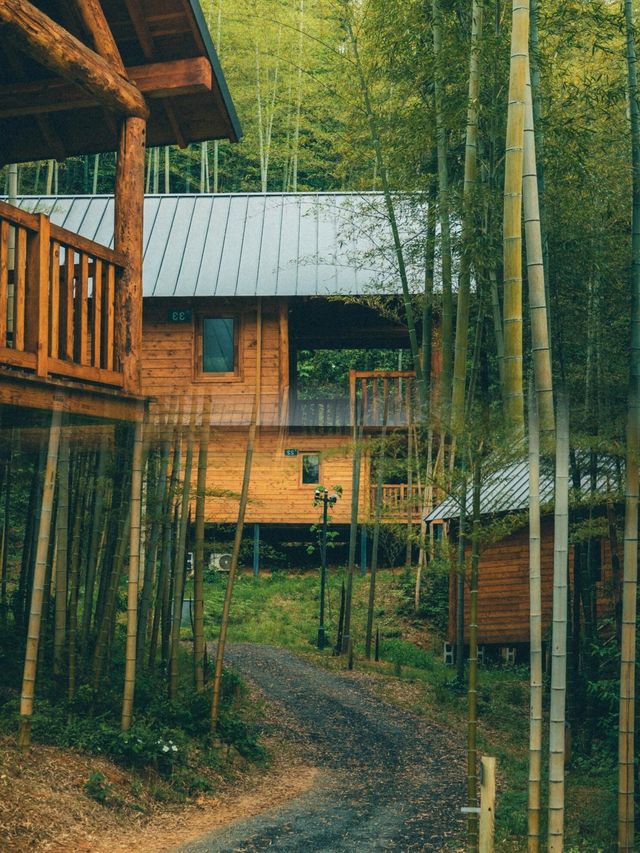 國慶親子遊，莫干山腳下的室外桃源