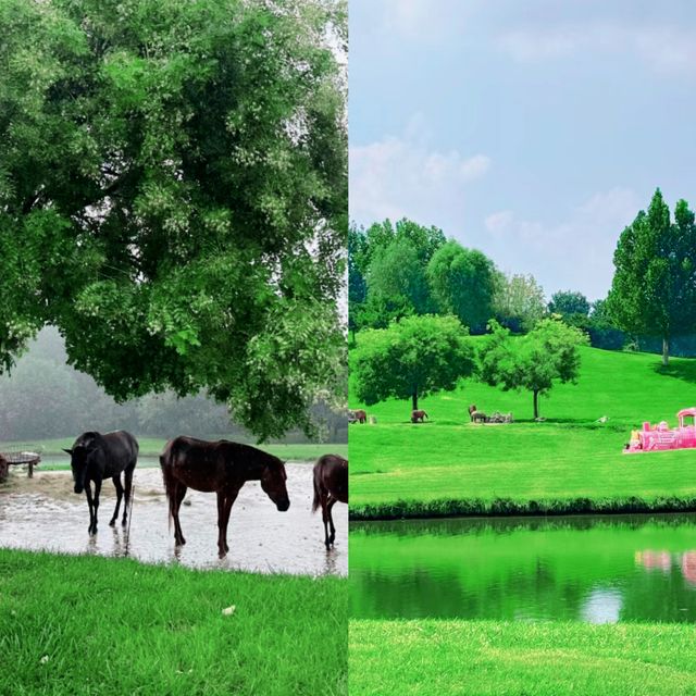 輕鬆又治癒的北京野生動物園。