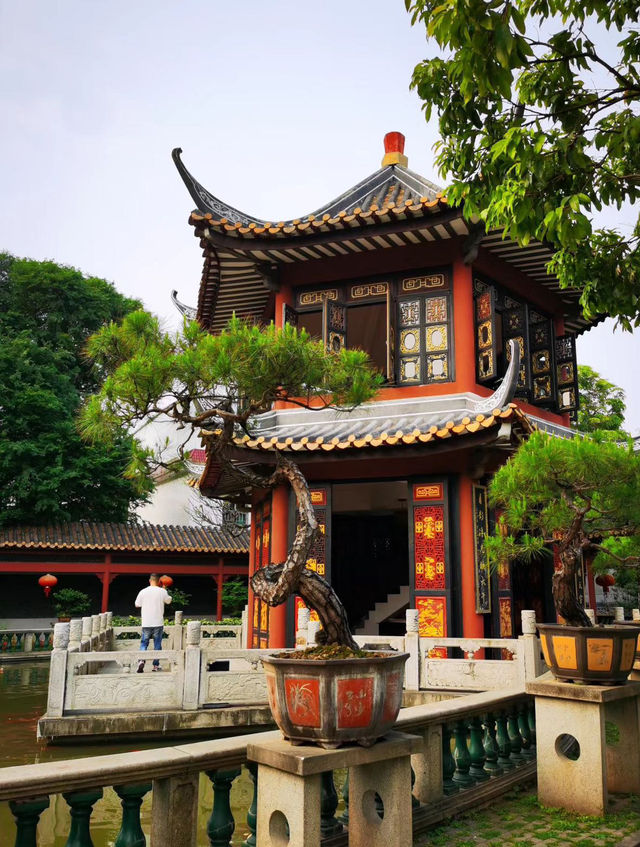 碧江金樓｜重現璀璨歲月。