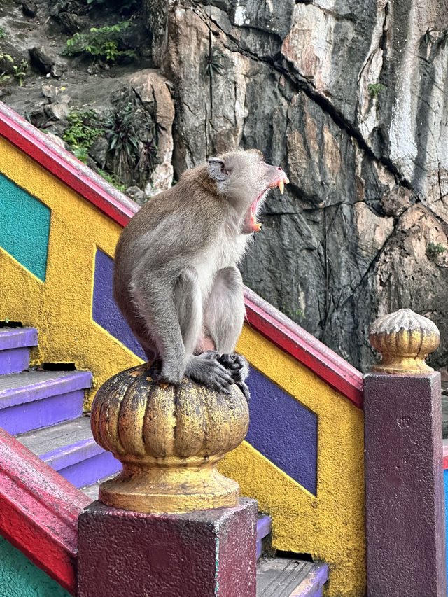The Iconic Rainbow Stairs of Batu Caves, Kuala Lumpur 