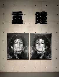 逛展《重瞳》。
