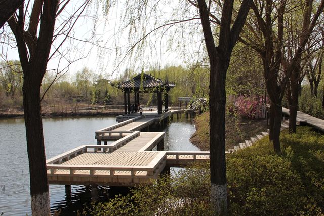 長春北湖濕地公園 -- 國家4A級旅遊景區。