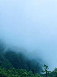 川河蓋｜雲端之上的夢幻之旅你來過嗎？