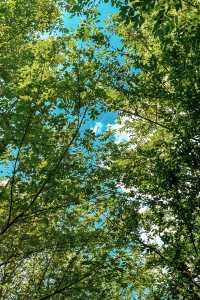 把握夏日尾聲，武漢周邊溯溪玩水好去處。