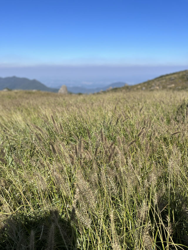 豐城玉華山。