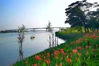 東莞企石東清湖濕地公園——秋天的約會。