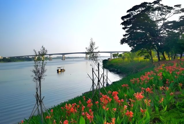 東莞企石東清湖濕地公園——秋天的約會。