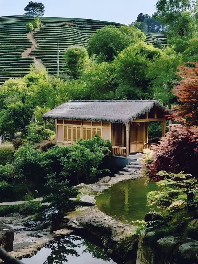 武夷山嘉葉山舍，超值的茶宿之旅。