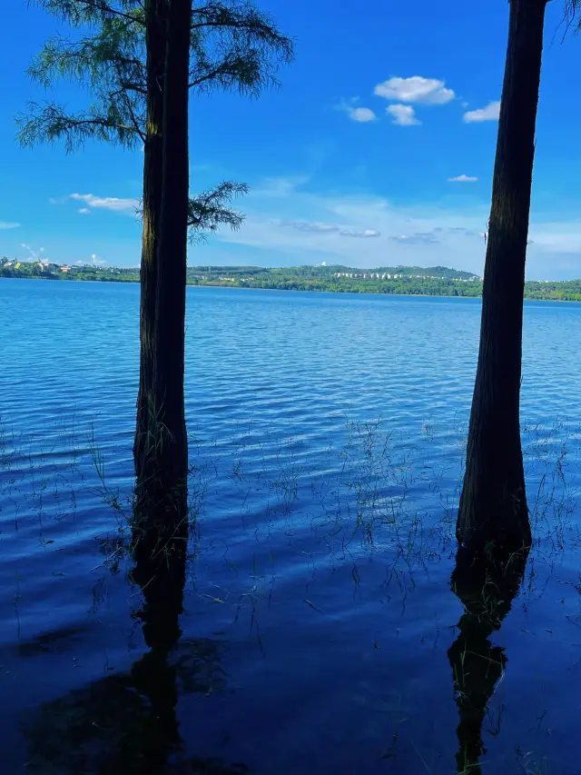 廣東省湛江市湖光岩‖世界最大的瑪珥湖，天然的氧吧。