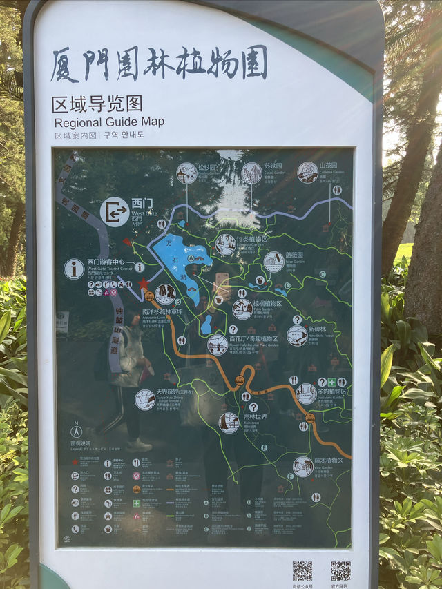 廈門植物園｜別睡懶覺！一定要早去才好看。