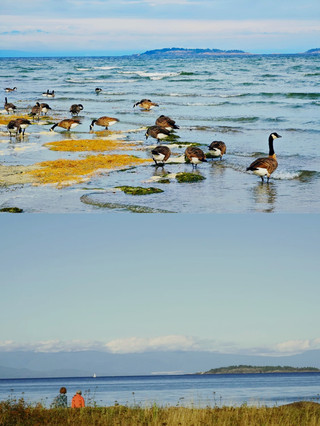 Nanaimo: A coastal gem in Canada.