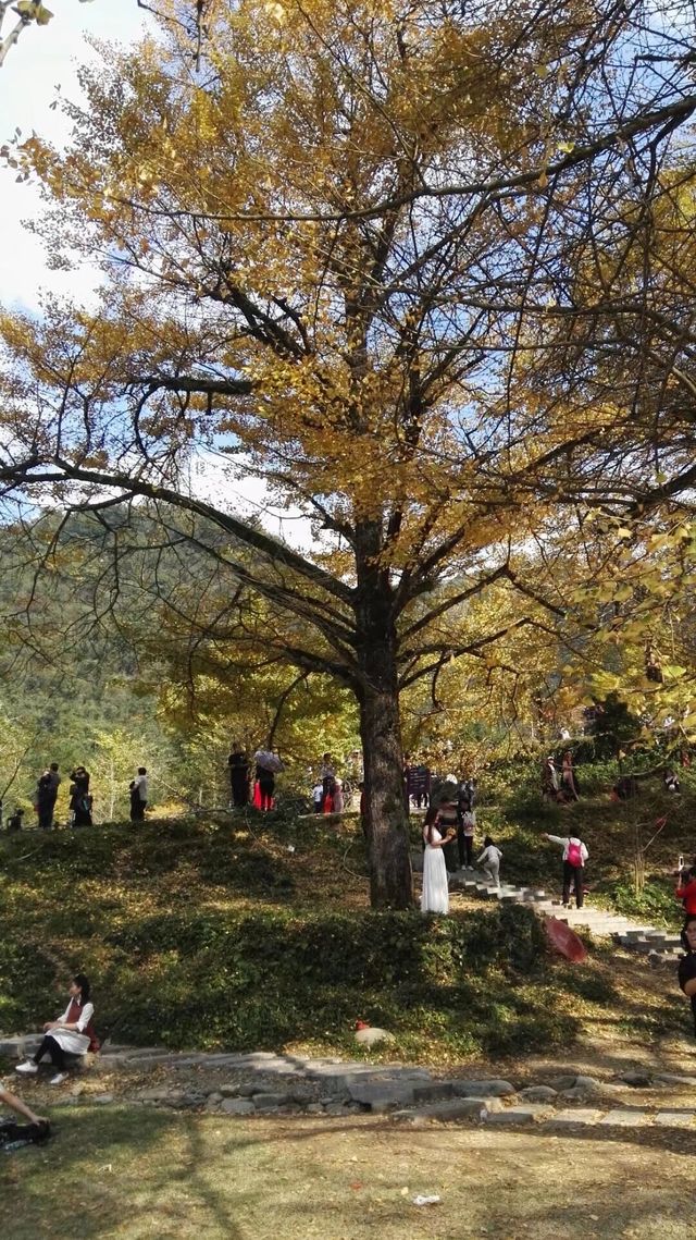 永州桐子坳景區、岑天河水庫、盤王殿之旅。