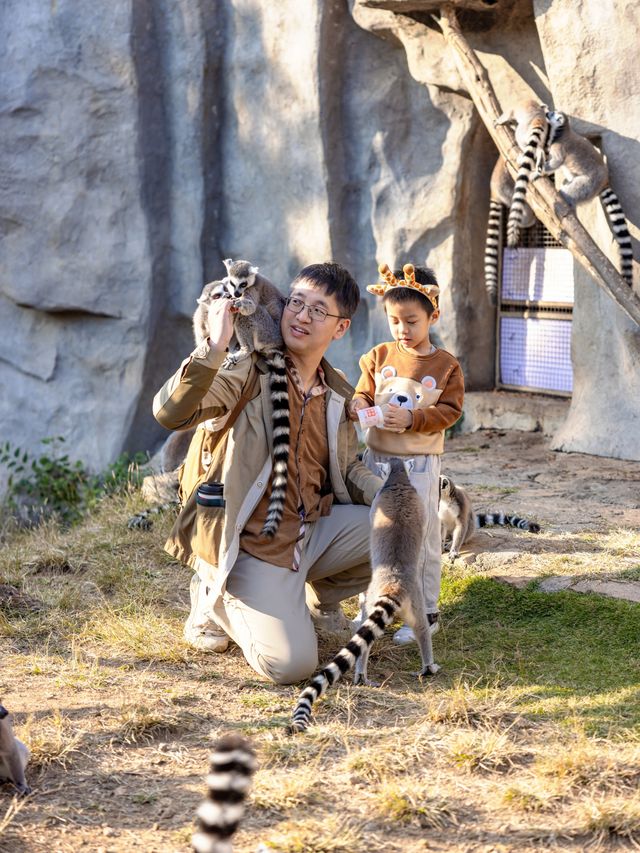 聽勸！淡季去青島野生動物世界可太幸福了。