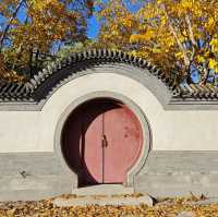 Summer Palace Autumn Stroll