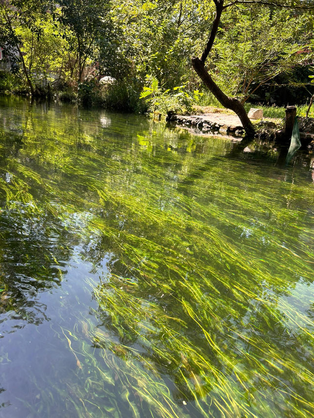 全州龍井村｜自然風光。
