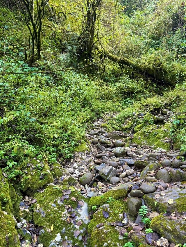 趙公山遊玩全攻略｜路線、準備、最佳時間一網打盡！。