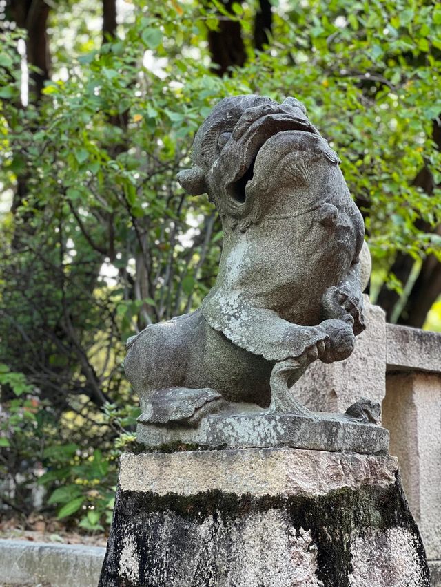 泉州/所願皆所求 開元寺。