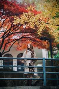西安這個寶藏公園怎麼才被發現。
