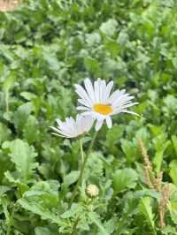 今天給大家推薦青島的唐島灣公園呀。