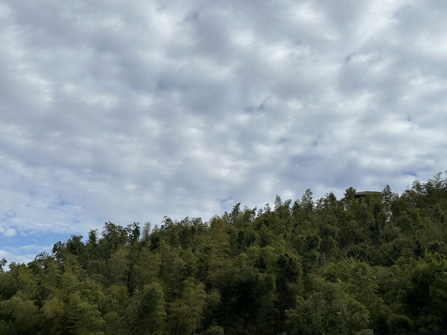 長沙周邊自駕遊，在黑麋峰感受自由的風。