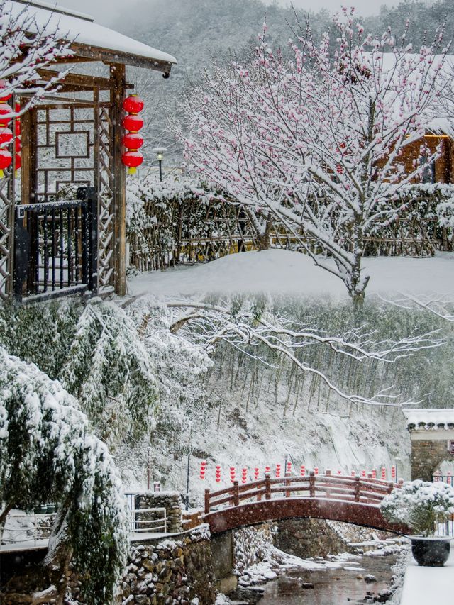預測寧波的第一場雪應該會下在這裡。