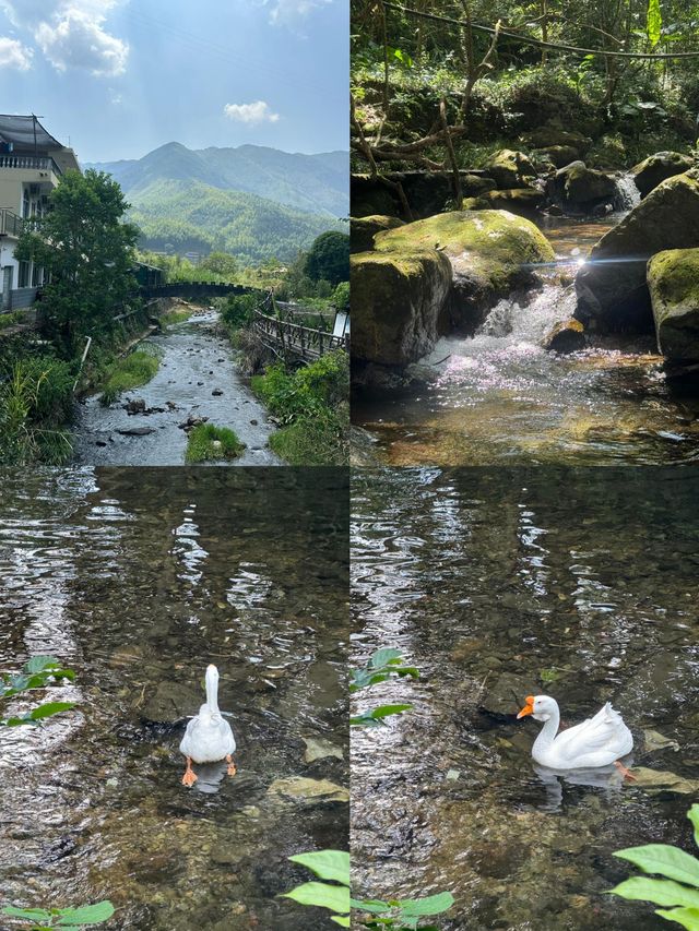 南平溪源峽谷｜一起感受山水之樂。