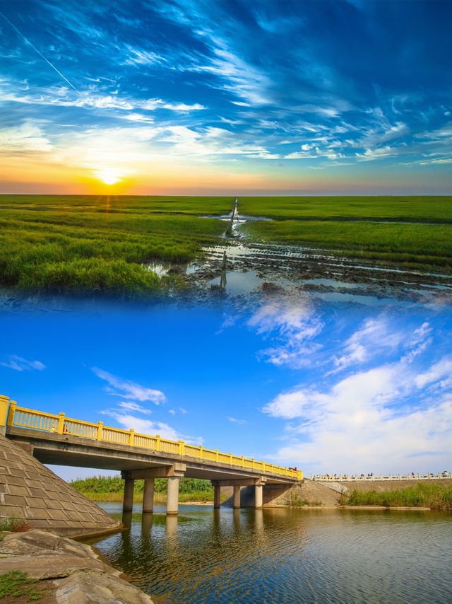 東灘濕地公園：自然愛好者的天堂，你準備好了嗎？