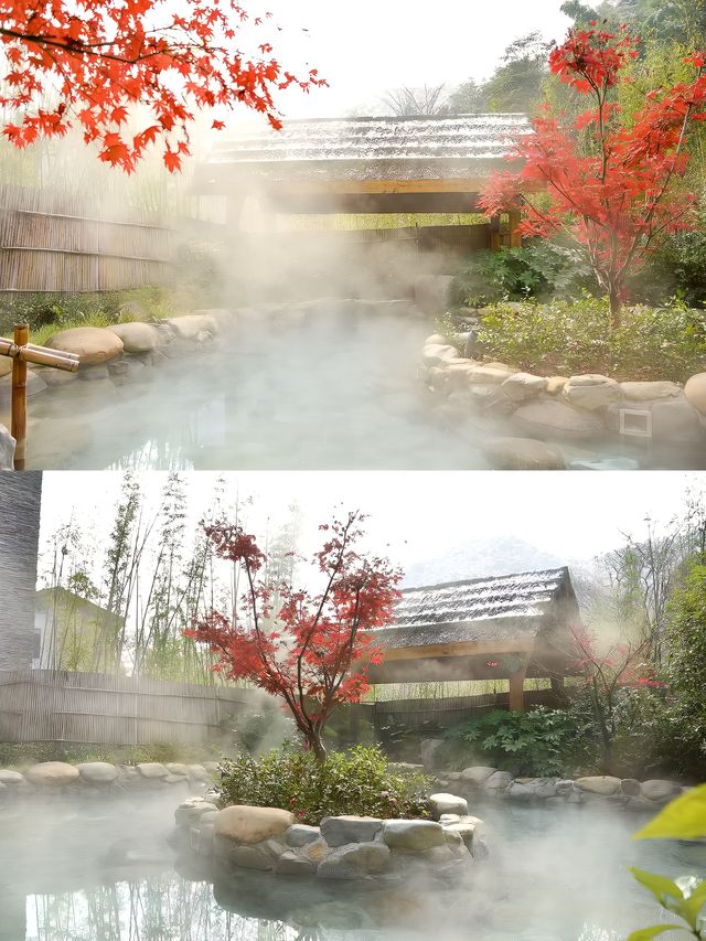 溫泉療癒之旅，寧海安嵐冬季小火鍋鮮度爆表！