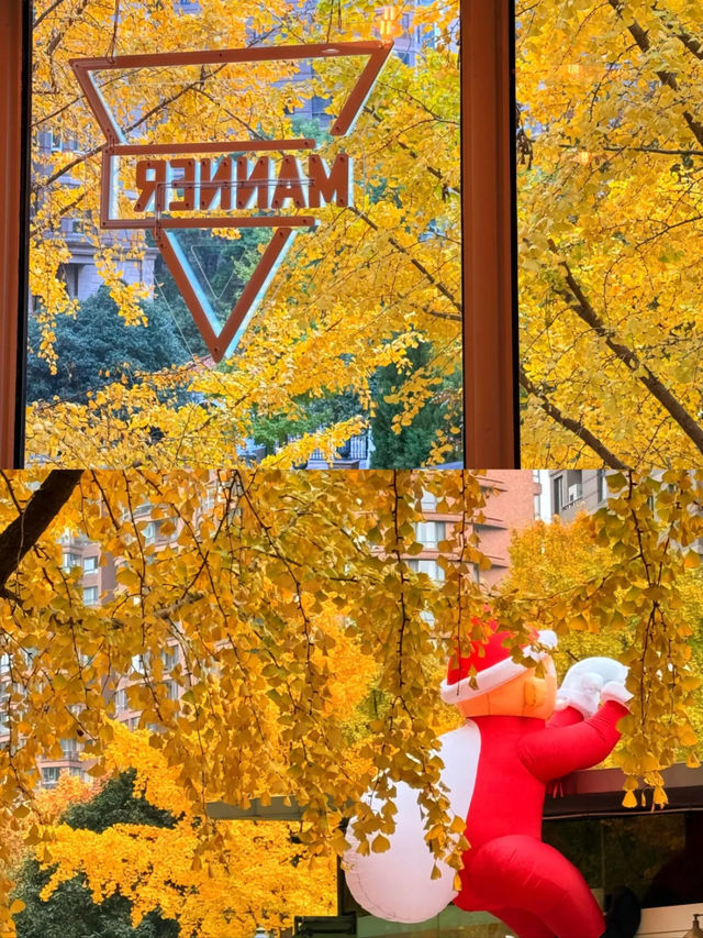 上海|黃金城道已經美得不像樣了~ 上海|黃金城道已經美得不像樣了~