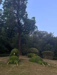 廣州白雲｜雲蘿植物園