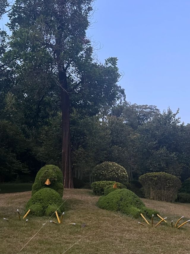 廣州白雲｜雲蘿植物園