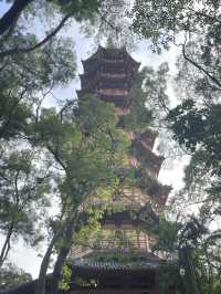 深圳龍華公園又對外開放啦！