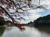 金鱗豈是池中物 | 江夏青龍山森林公園