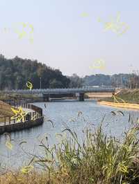 呢間民宿真係超值，住咗都唔想走