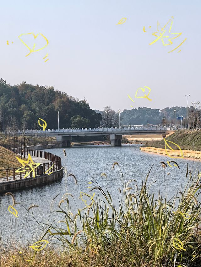 呢間民宿真係超值，住咗都唔想走