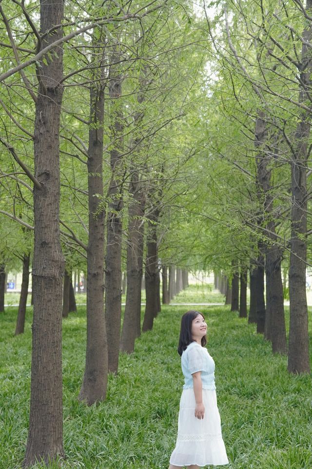 魔都覓秋｜秋意正濃邀您進入粉色花海浪漫