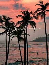 Sri Lanka | Mirissa Whale Watching Guide