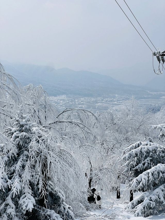 西安秦嶺｜最美不過的第一場雪景