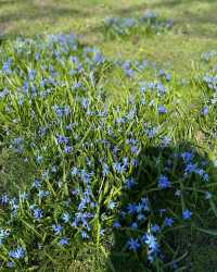 加拿大倫敦 | 伊芙琳公園：寧靜與自然的完美融合