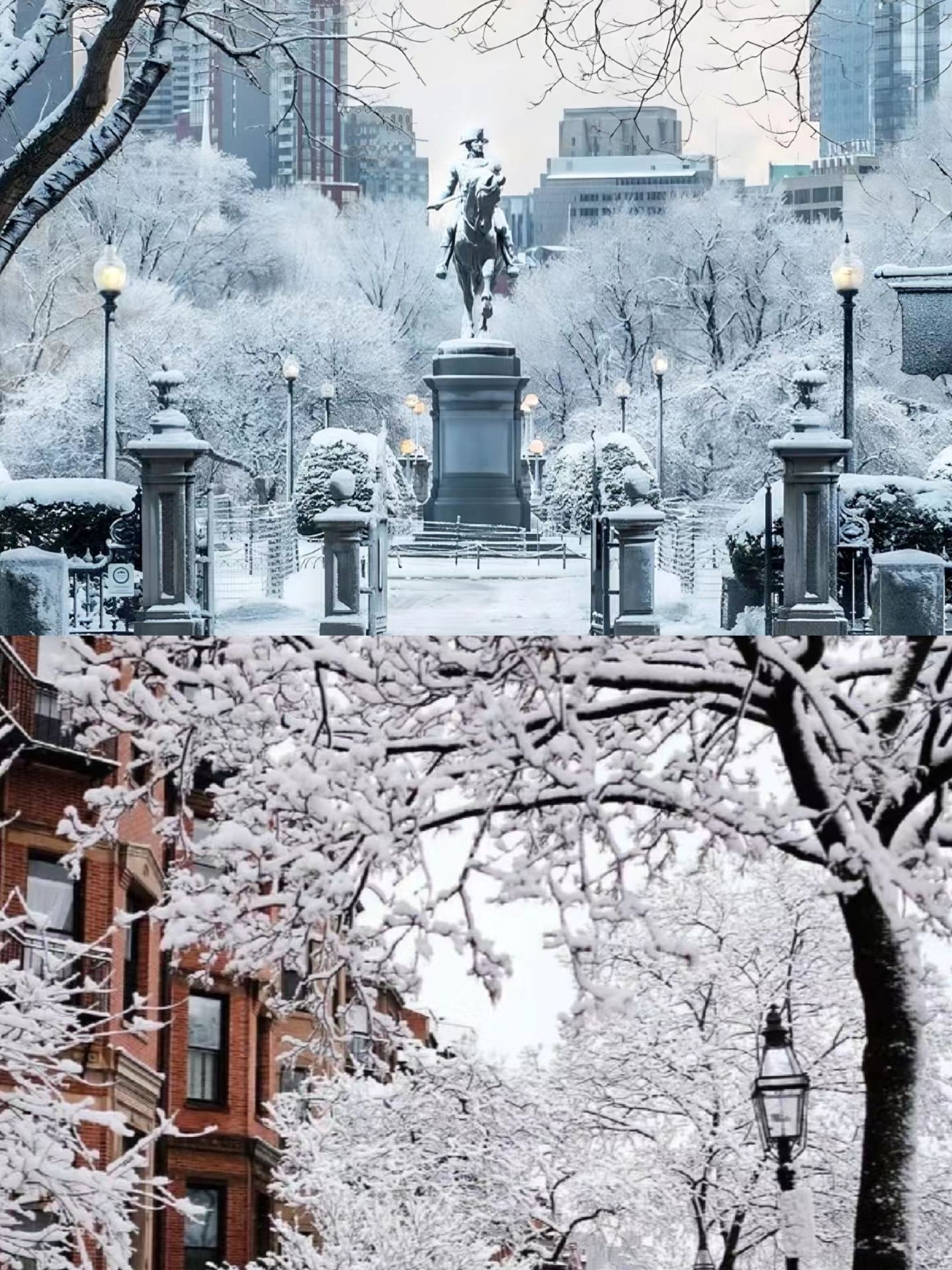 Trời đang đổ tuyết ở Boston